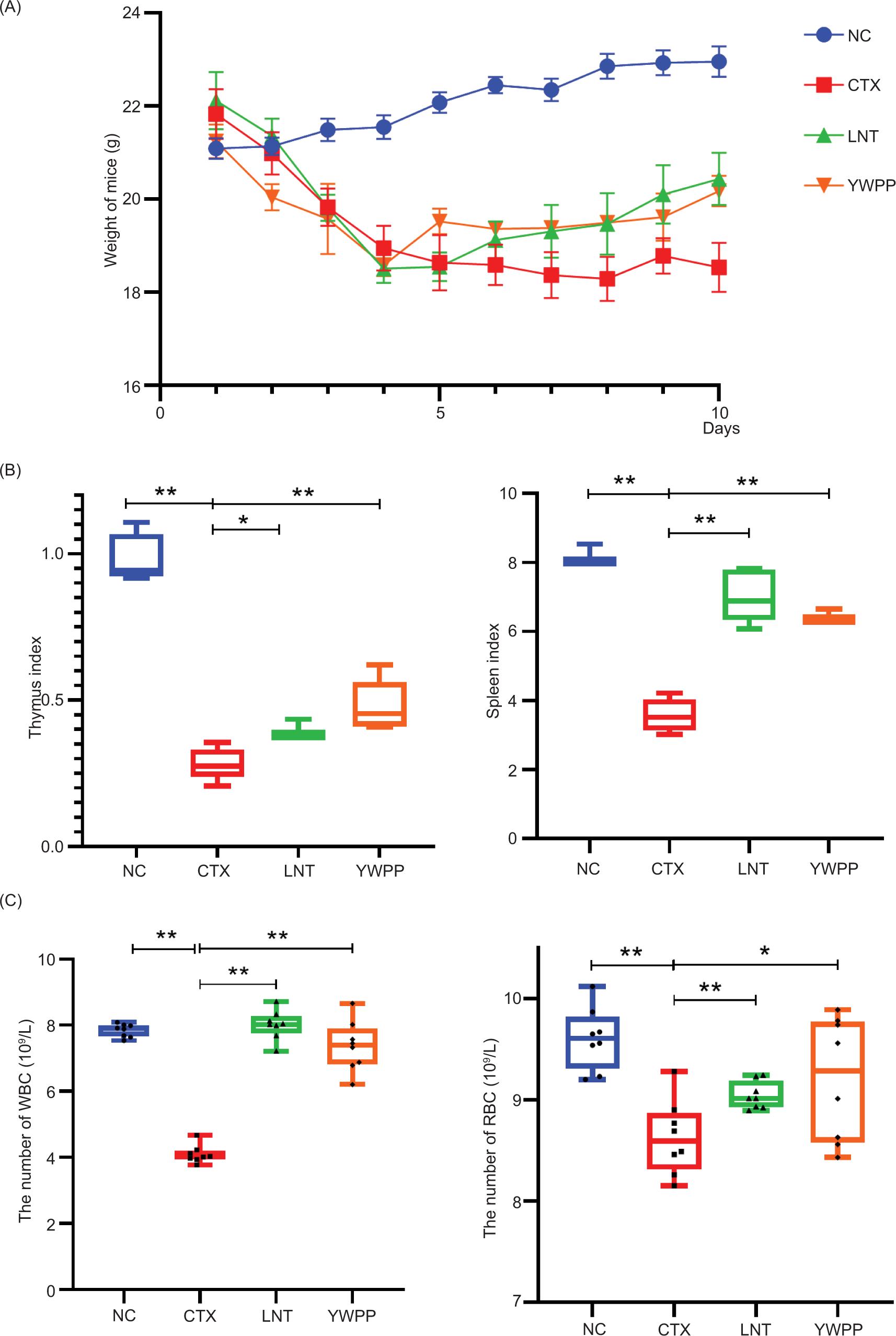 Effects of wine processed Polygonatum polysaccharides on